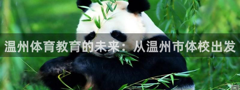 尊龙官方正版app官方:温州体育教育的未来:从温州市体校出发
