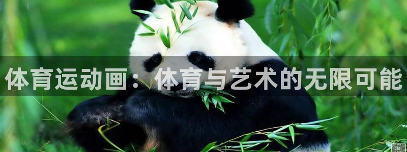 尊龙官方正版app娱乐是那个系列的台子:体育运动画:体育与艺