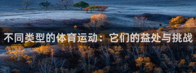 尊龙官网下载平台假的吗是真的吗吗:不同类型的体育运动:它们的