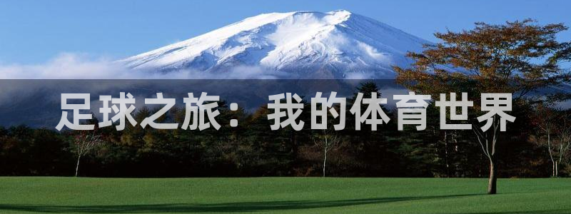 尊龙官网下载招商电话是多少号码:足球之旅:我的体育世界