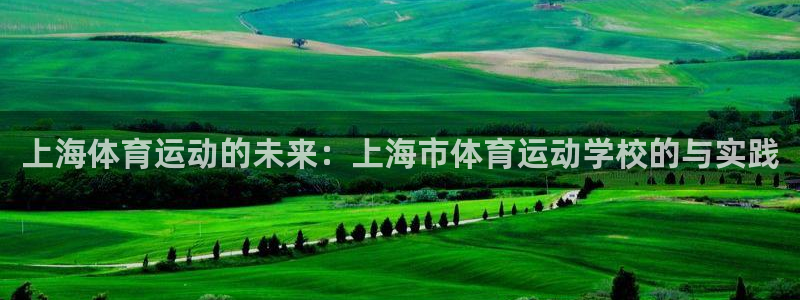 尊龙官网下载平台注册要钱吗:上海体育运动的未来:上海市体育运
